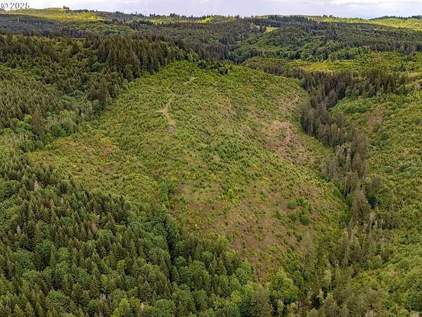 124 Acres of Recreational Land with Home for Sale in North Plains, Oregon