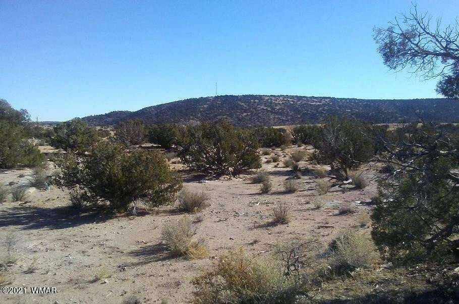 19.8 Acres of Recreational Land for Sale in Snowflake, Arizona