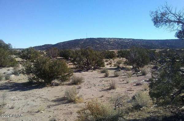 19.8 Acres of Recreational Land for Sale in Snowflake, Arizona