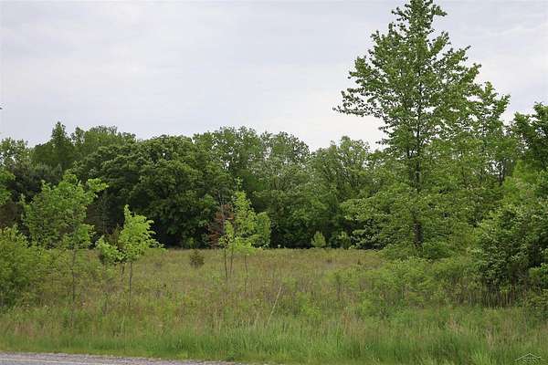 3 Acres of Residential Land for Sale in Birch Run, Michigan