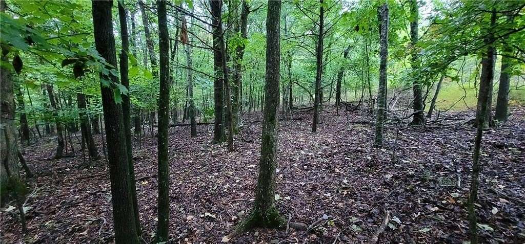 16 Acres of Recreational Land for Sale in Winslow, Arkansas