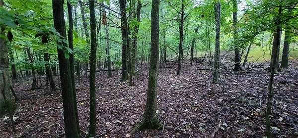 16 Acres of Recreational Land for Sale in Winslow, Arkansas