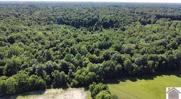 50.9 Acres of Recreational & Residential Land for Sale in Paducah, Kentucky