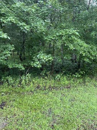 0.5 Acres of Land for Sale in Lee, Florida