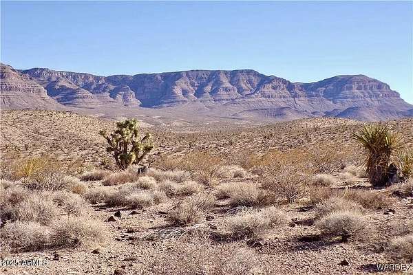 1.24 Acres of Residential Land for Sale in Meadview, Arizona