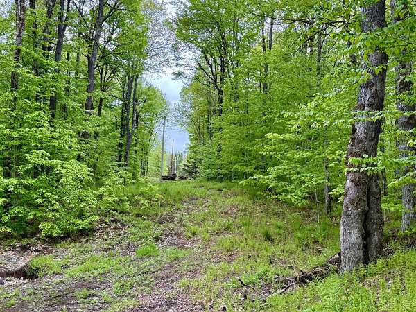 3.2 Acres of Residential Land for Sale in Piseco, New York