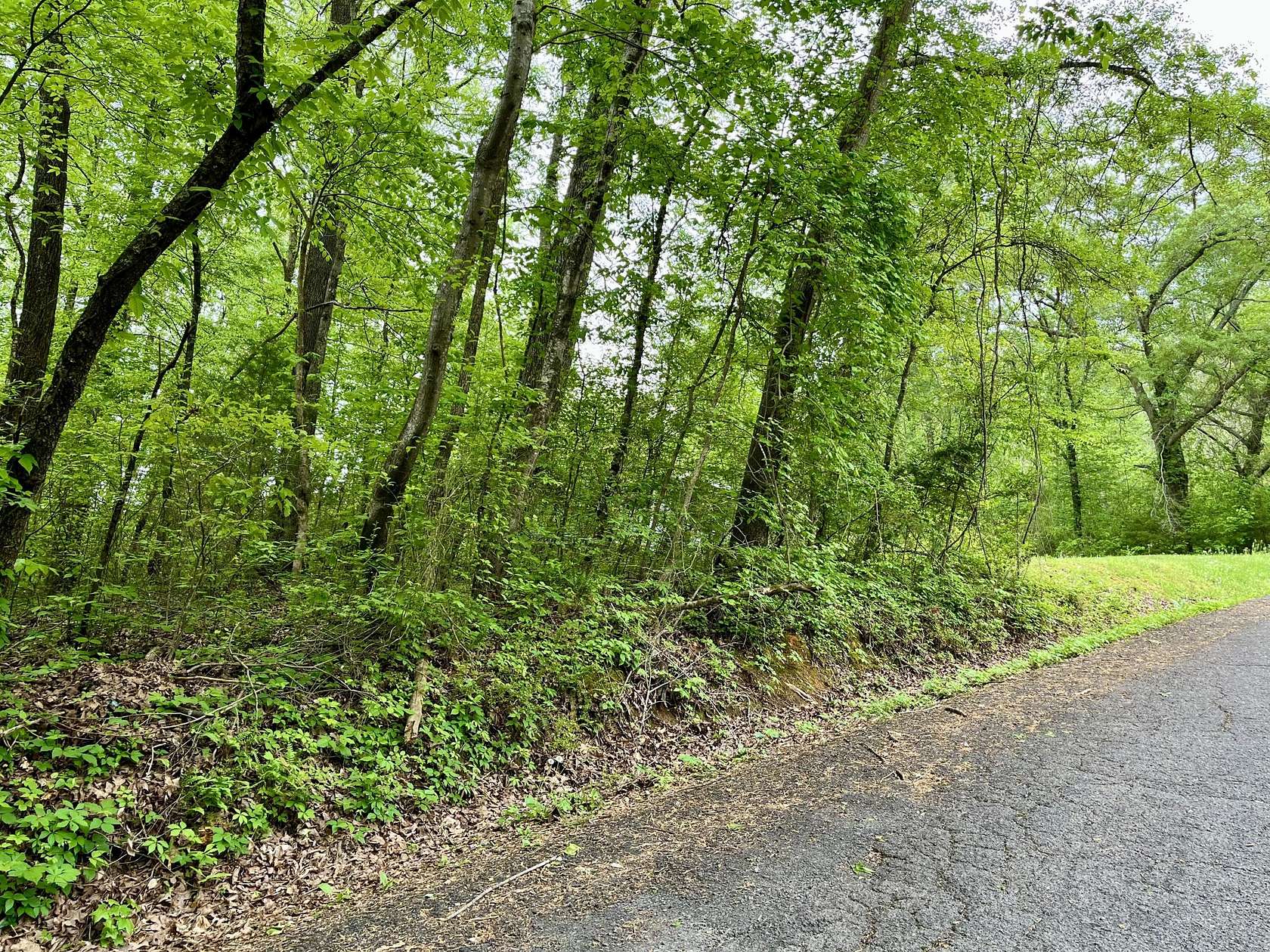 0.56 Acres of Residential Land for Sale in Whitwell, Tennessee
