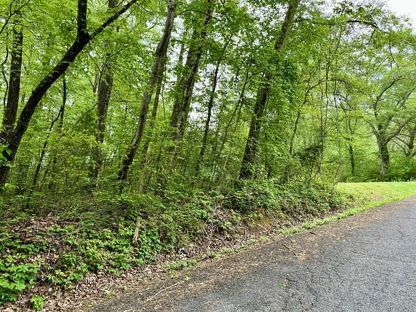 0.56 Acres of Residential Land for Sale in Whitwell, Tennessee