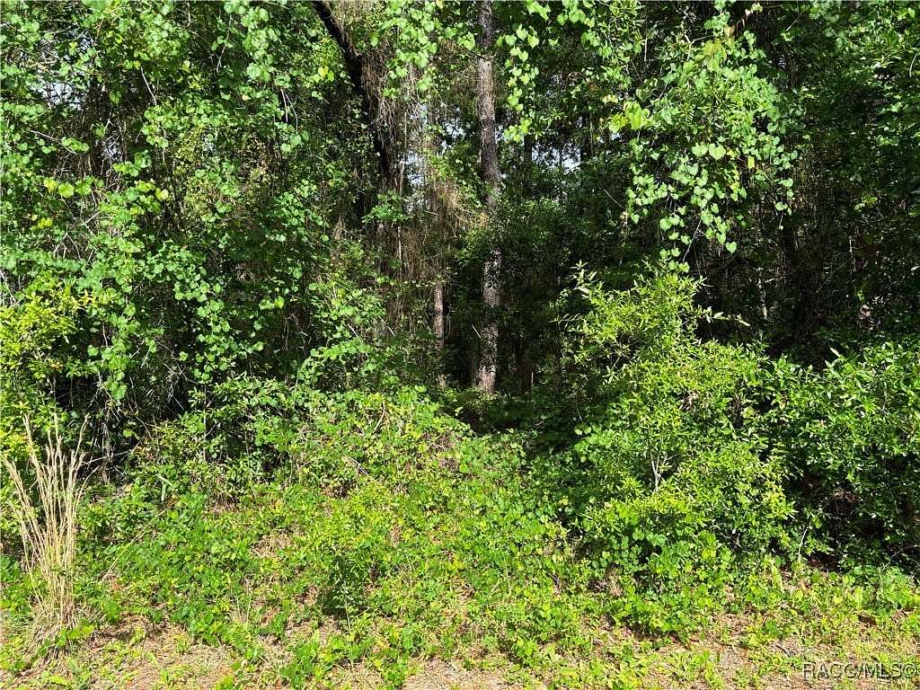 0.4 Acres of Residential Land for Sale in Citrus Springs, Florida