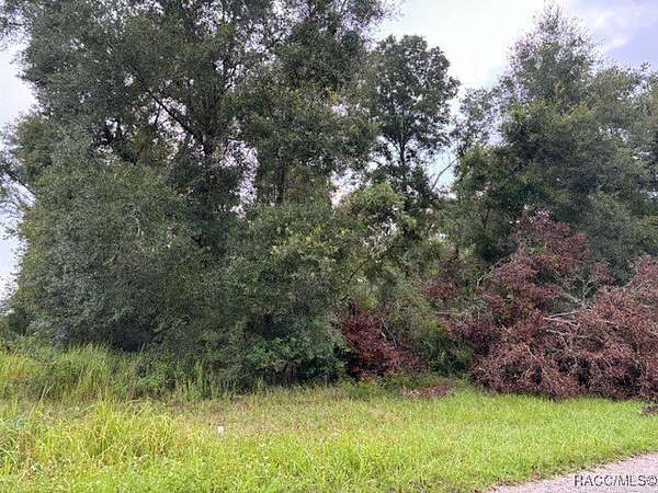 0.28 Acres of Residential Land for Sale in Citrus Springs, Florida