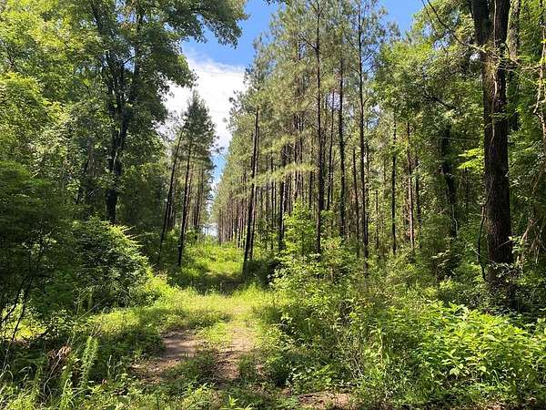 7.57 Acres of Land for Sale in Joaquin, Texas