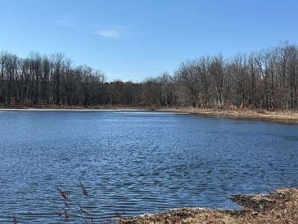 19.5 Acres of Land for Sale in Mecosta, Michigan