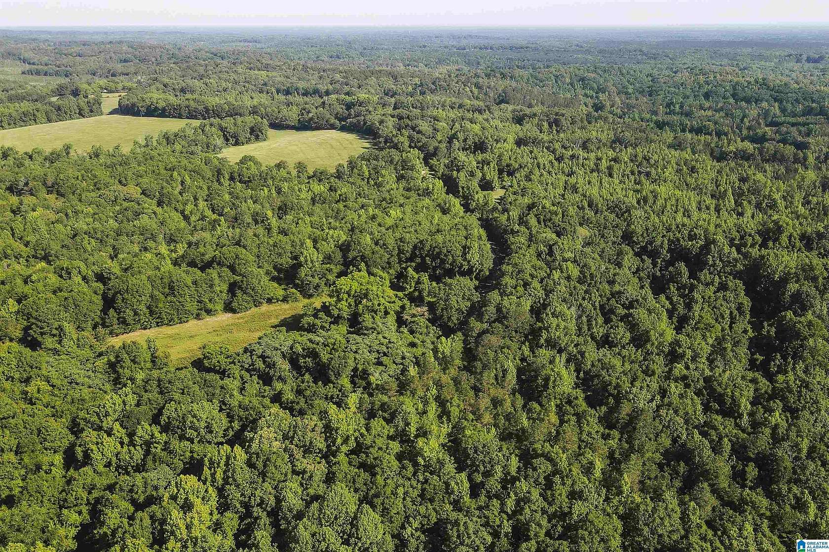 78 Acres of Recreational Land for Sale in Union Springs, Alabama