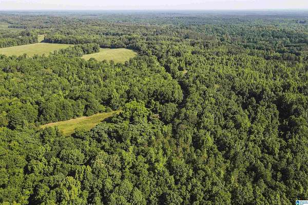78 Acres of Recreational Land for Sale in Union Springs, Alabama