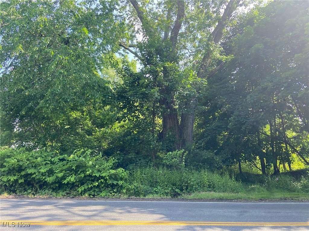 0.24 Acres of Land for Sale in Akron, Ohio