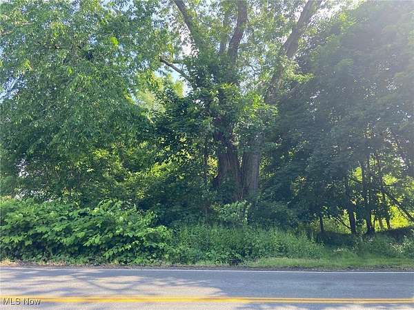 0.24 Acres of Land for Sale in Akron, Ohio