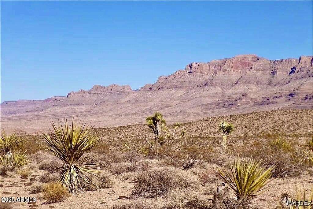 1.25 Acres of Residential Land for Sale in Meadview, Arizona