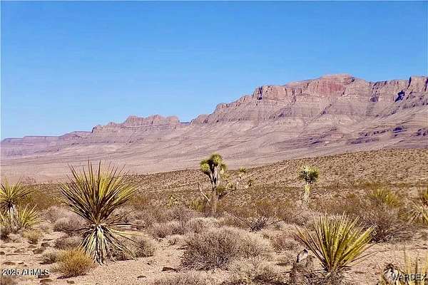 1.25 Acres of Residential Land for Sale in Meadview, Arizona