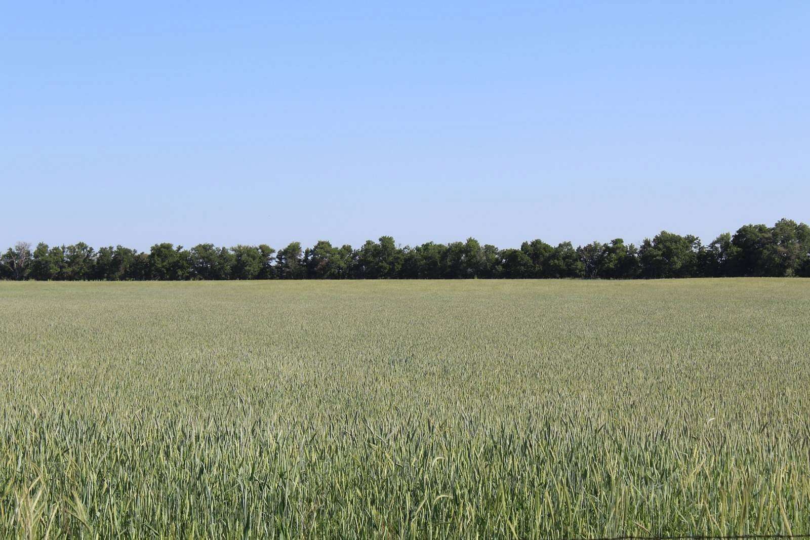 280 Acres of Agricultural Land for Auction in Mooreland, Oklahoma