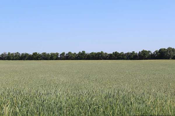 280 Acres of Agricultural Land for Auction in Mooreland, Oklahoma