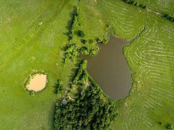 90 Acres of Recreational Land & Farm for Sale in Franklin, Texas