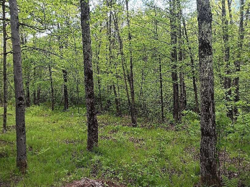 3.22 Acres of Land for Sale in Phillips, Wisconsin