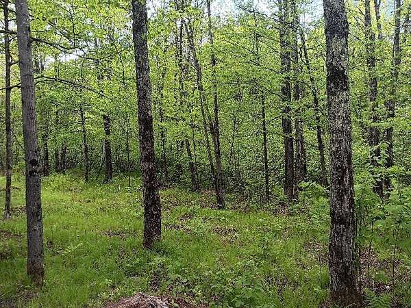 3.22 Acres of Land for Sale in Phillips, Wisconsin