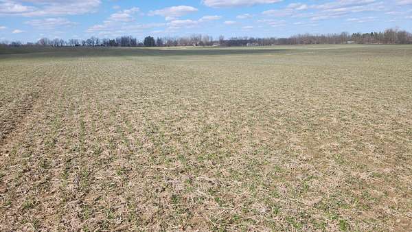 129 Acres of Land for Sale in Manchester, Michigan