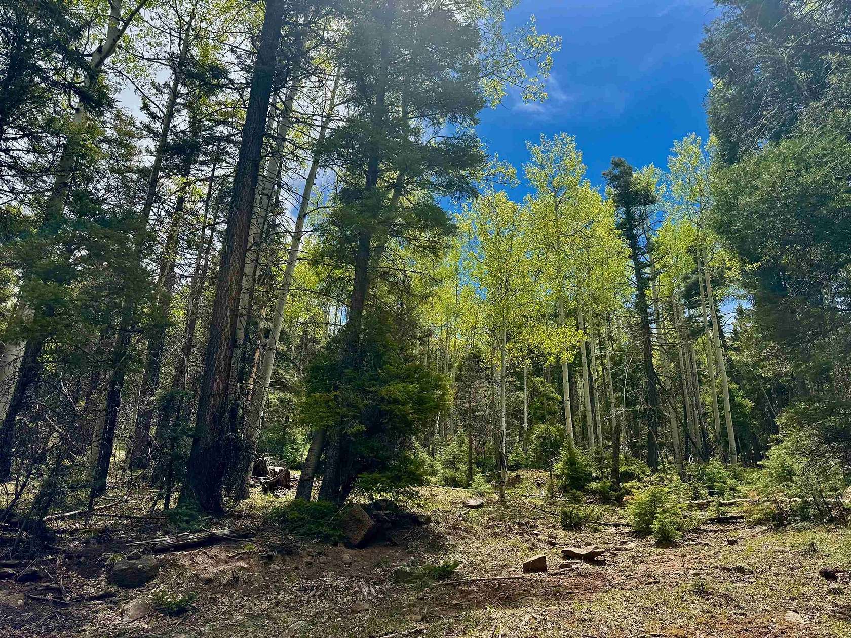 0.75 Acres of Land for Sale in Angel Fire, New Mexico