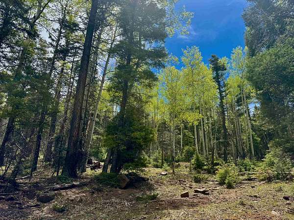 0.75 Acres of Land for Sale in Angel Fire, New Mexico