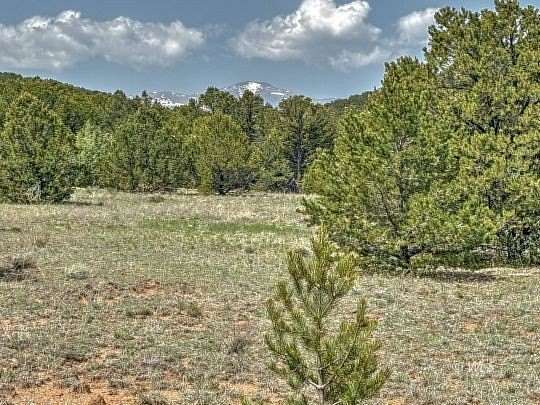 35.1 Acres of Agricultural Land for Sale in Cotopaxi, Colorado