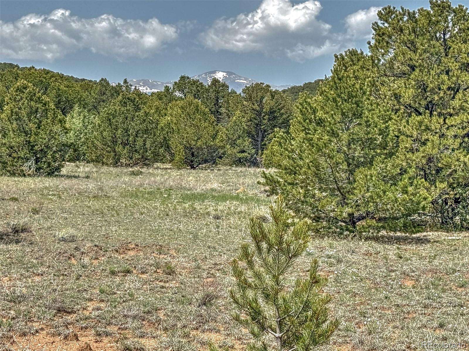 35.1 Acres of Agricultural Land for Sale in Cotopaxi, Colorado