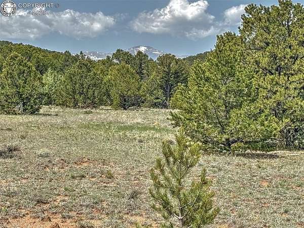 35.1 Acres of Land for Sale in Cotopaxi, Colorado