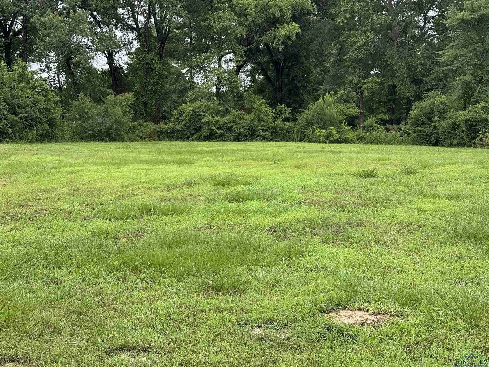 0.5 Acres of Land for Sale in Gladewater, Texas