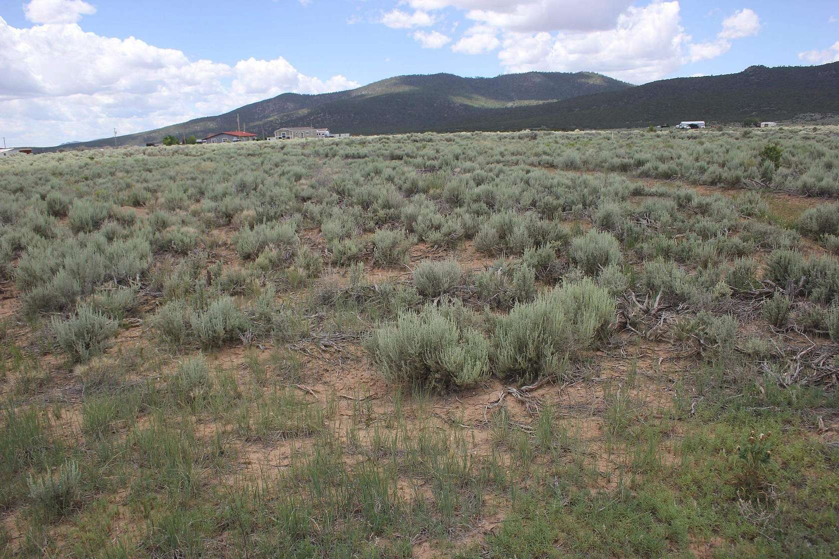 1 Acre of Residential Land for Sale in Questa, New Mexico