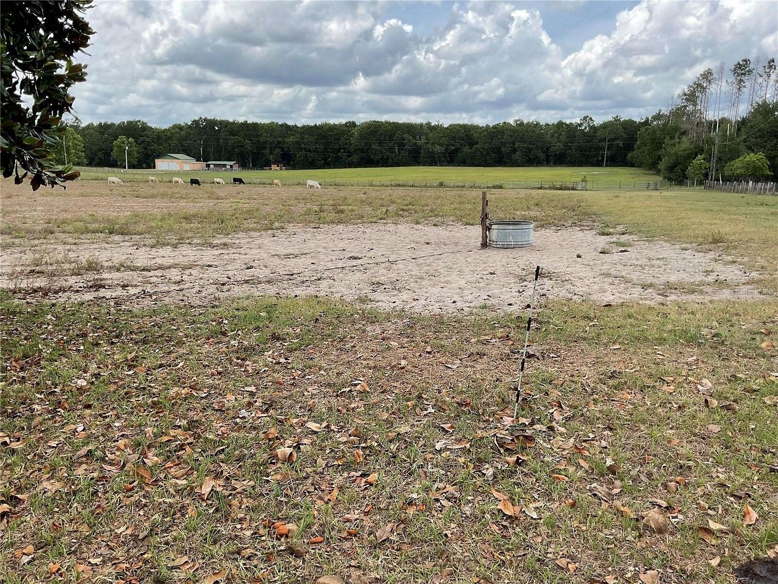 10 Acres of Land with Home for Sale in Bronson, Florida
