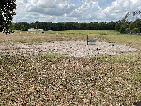 10 Acres of Land with Home for Sale in Bronson, Florida