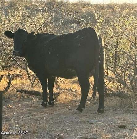 1.2 Acres of Residential Land for Sale in Rio Rico, Arizona