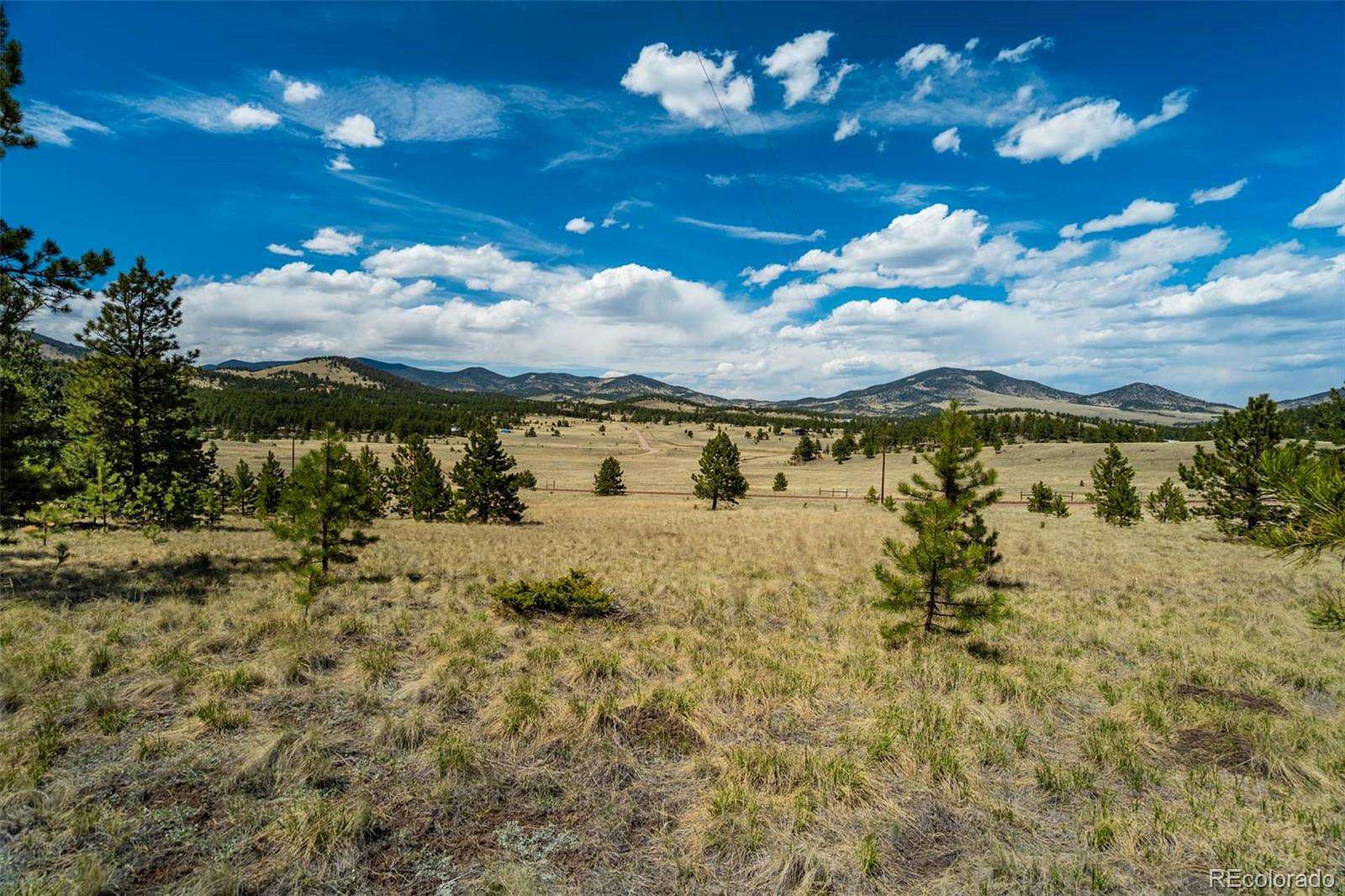 20 Acres of Recreational & Residential Land for Sale in Guffey, Colorado