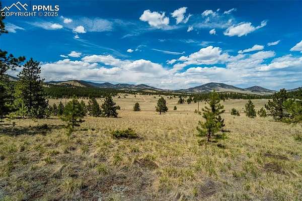 20 Acres of Recreational Land for Sale in Guffey, Colorado