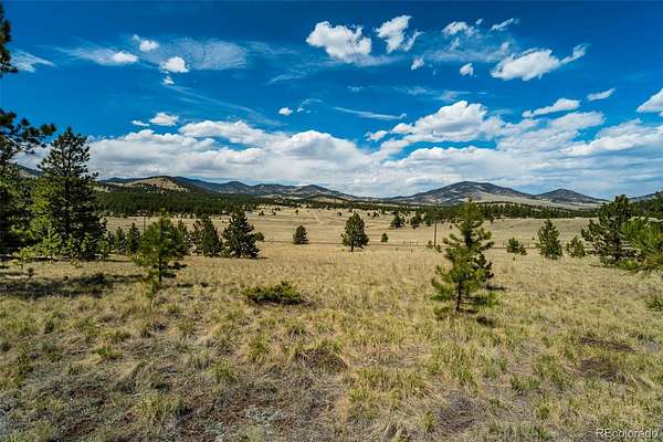 20 Acres of Recreational & Residential Land for Sale in Guffey, Colorado
