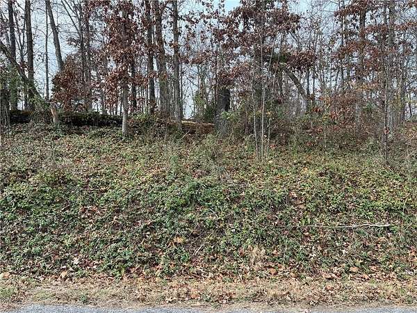 0.28 Acres of Residential Land for Sale in Bella Vista, Arkansas