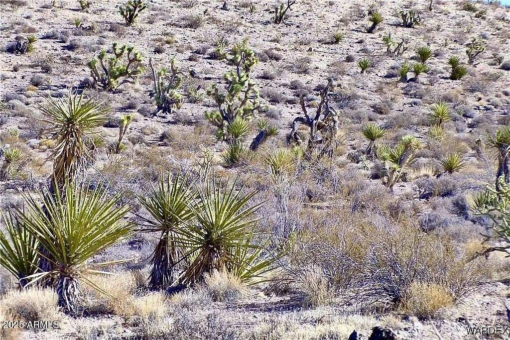 1.25 Acres of Residential Land for Sale in Meadview, Arizona