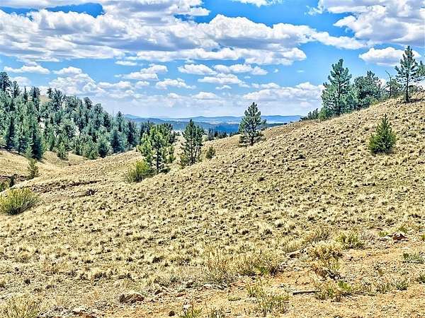 5 Acres of Residential Land for Sale in Hartsel, Colorado