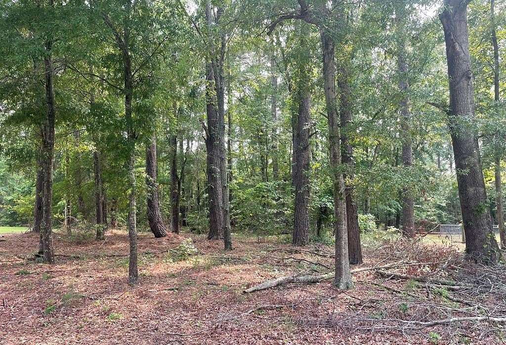 0.35 Acres of Residential Land for Sale in Summerton, South Carolina