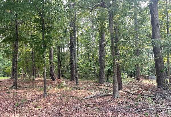 0.35 Acres of Residential Land for Sale in Summerton, South Carolina