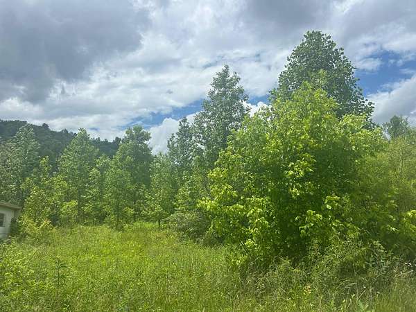 25 Acres of Land for Sale in Rockholds, Kentucky