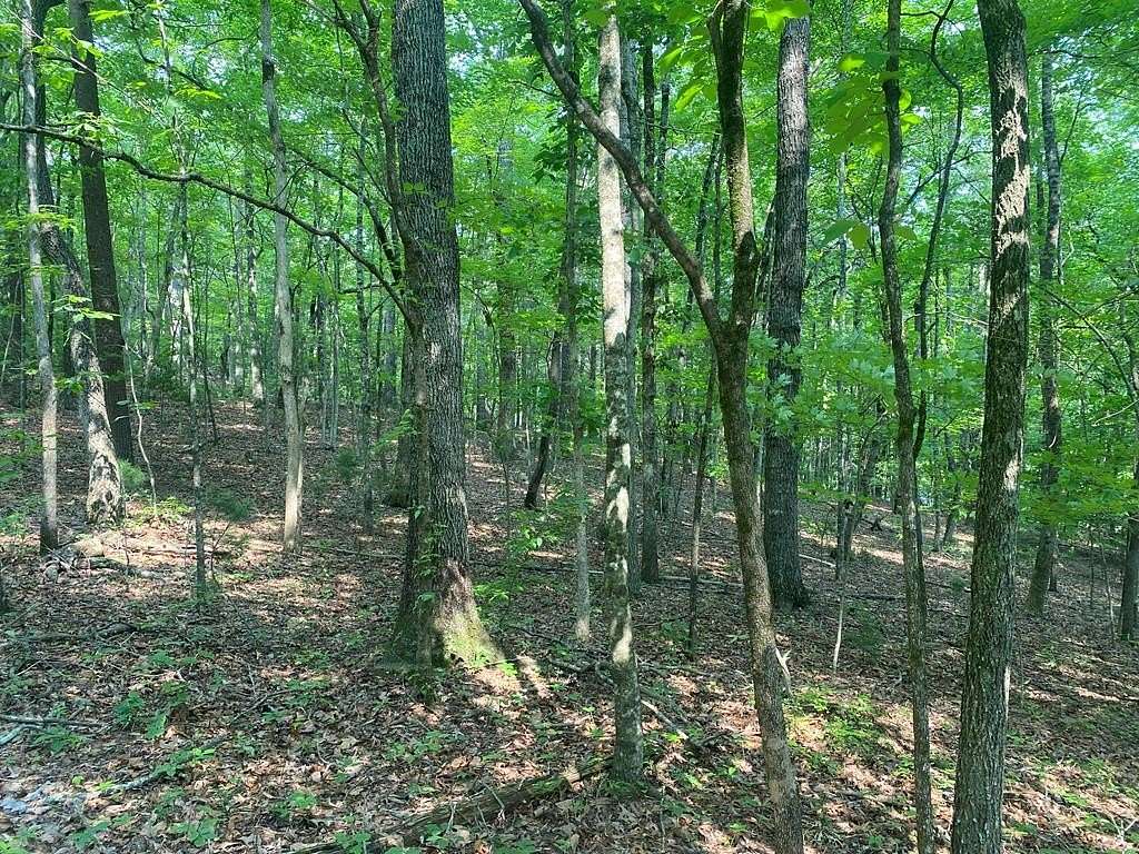 3.3 Acres of Land for Sale in Ellijay, Georgia