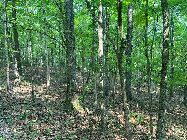 3.3 Acres of Residential Land for Sale in Ellijay, Georgia