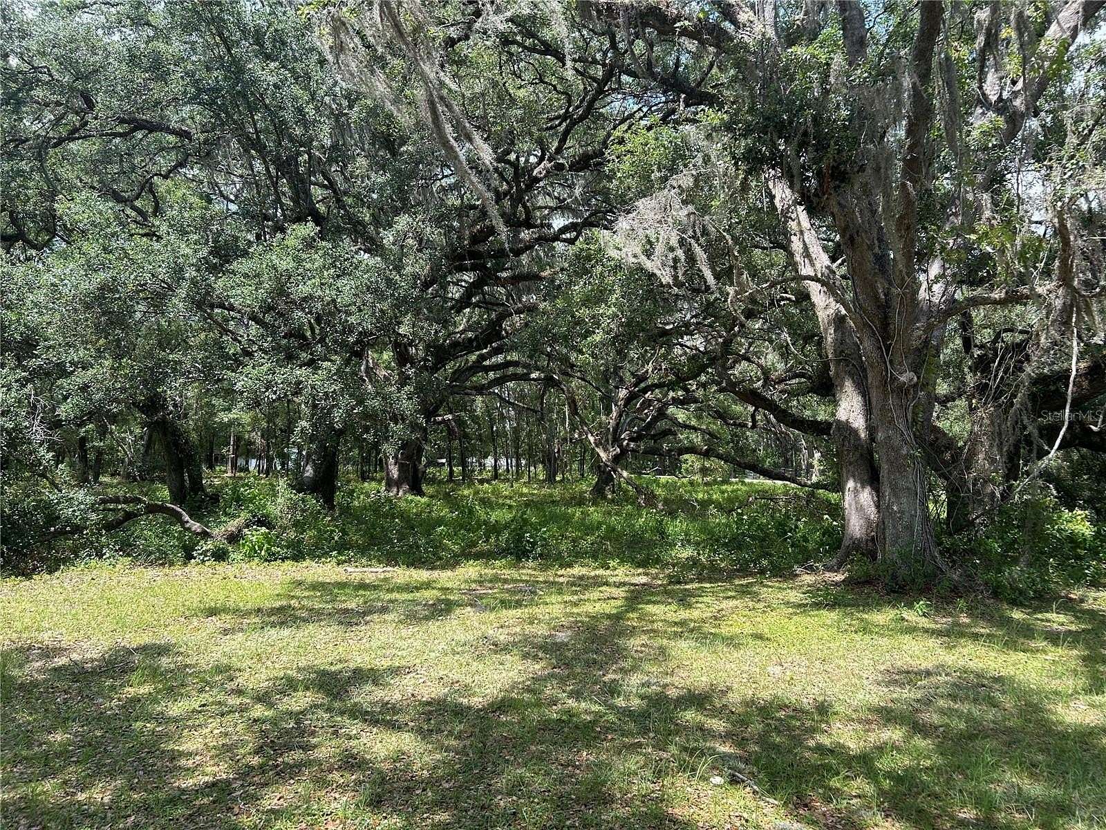 3.3 Acres of Residential Land for Sale in Morriston, Florida